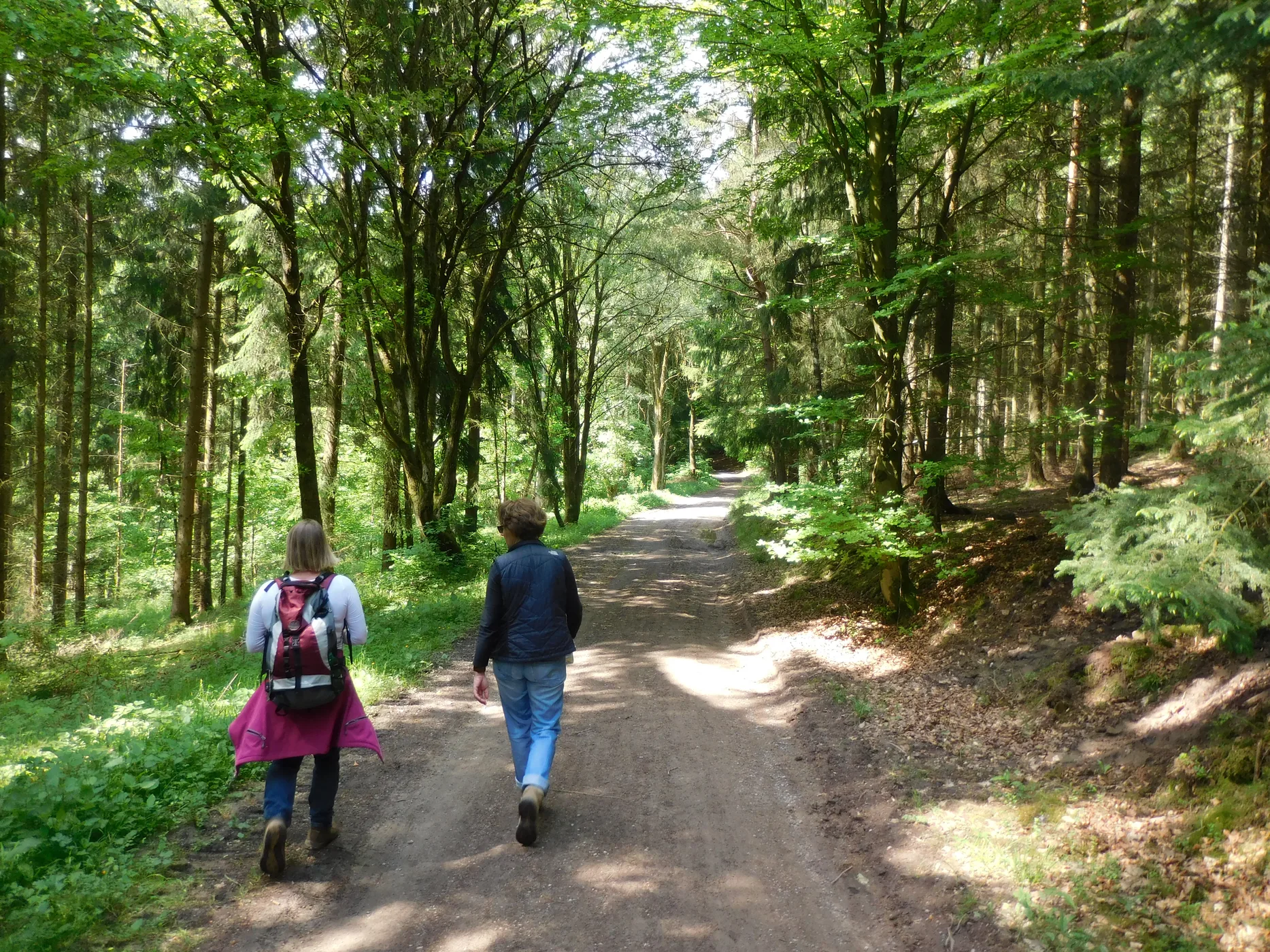 Zwei Menschen gehen gemeinsam auf einem Waldweg
